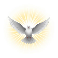 Confrontación compasiva